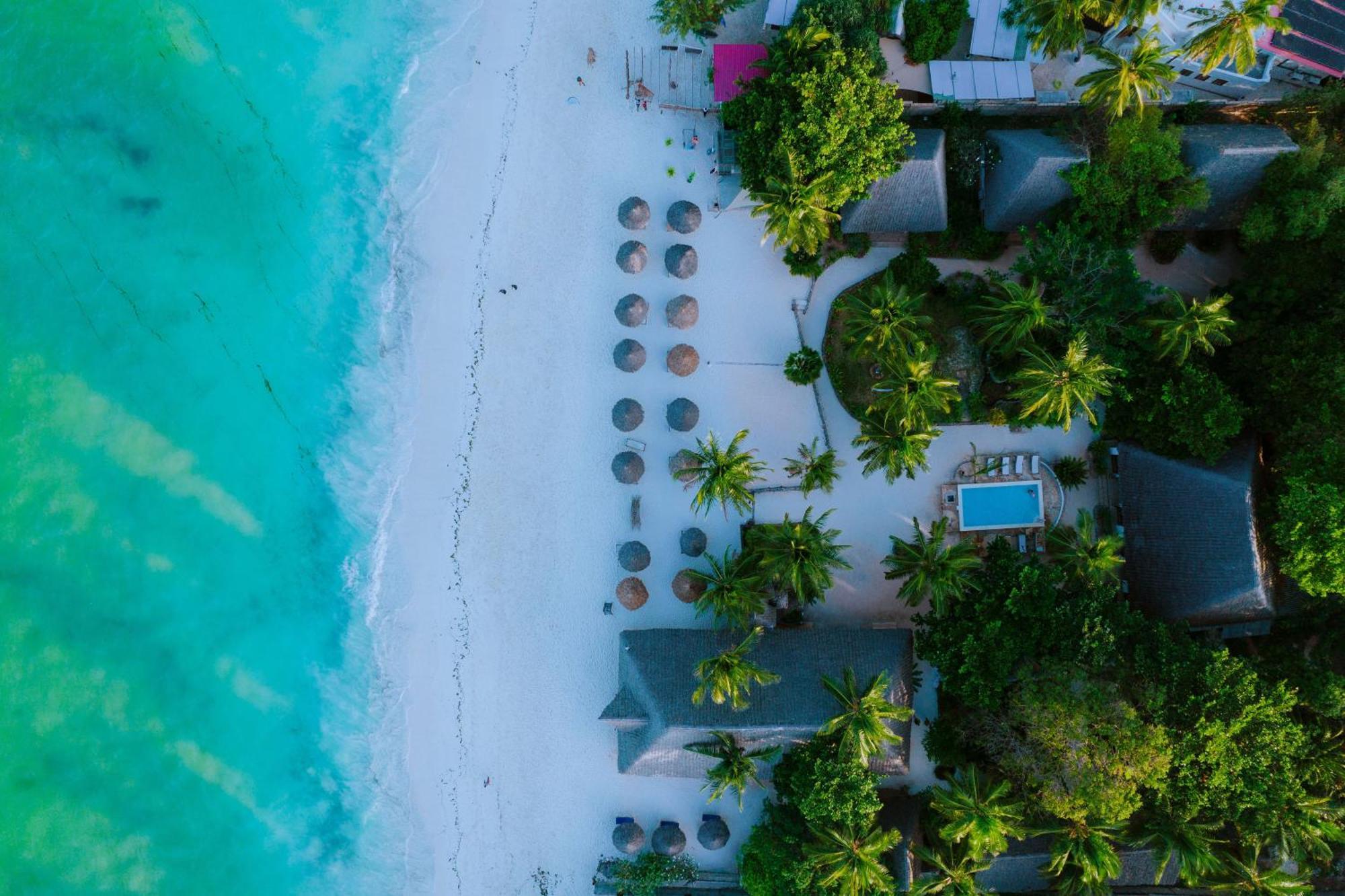 Mambo Ocean Resort Pwani Mchangani Dış mekan fotoğraf